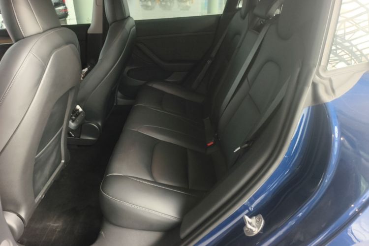 Tesla Model 3 2021 car image #17