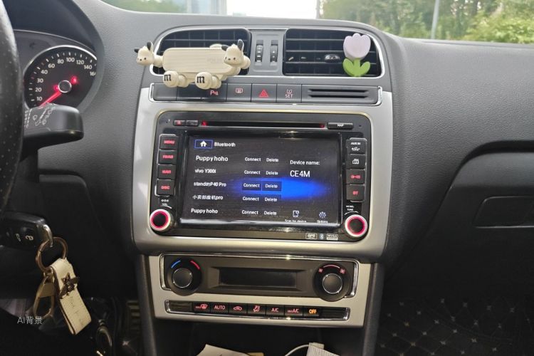 Volkswagen Polo 2015 car image #15