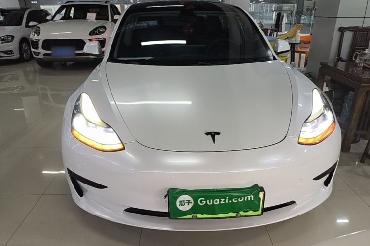 Tesla Model 3 2022 #3 Tesla Model 3 2022 car image #3