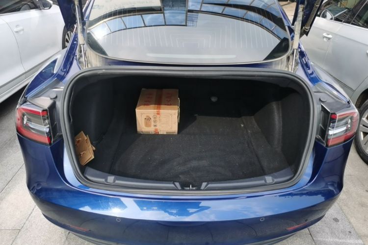 Tesla Model 3 2020 #19 Tesla Model 3 2020 car image #19