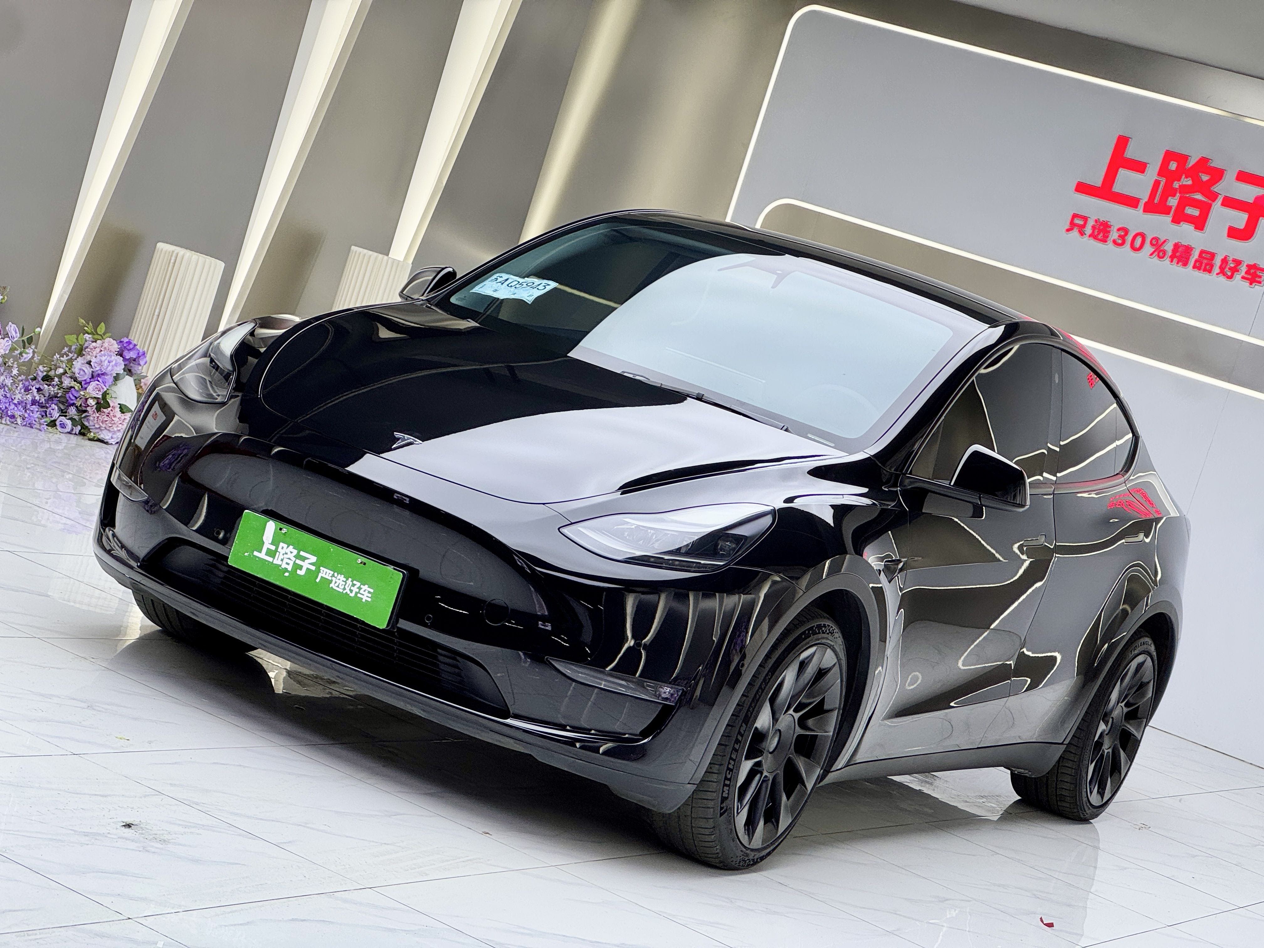 Tesla Model Y 2021 car image 