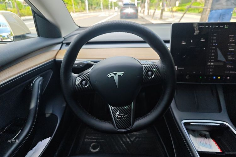 Tesla Model 3 2022 car image #12