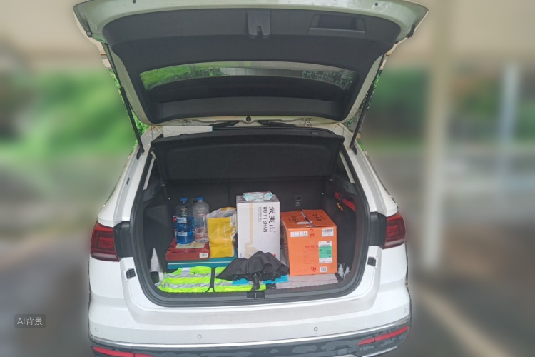 Volkswagen Tharu 2019 car image #21