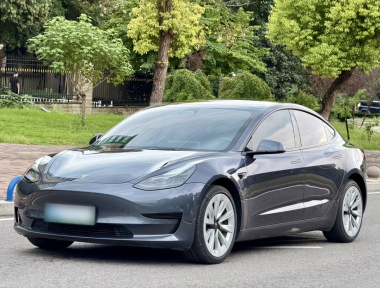 Tesla Model 3 2023 Tesla Model 3 2023 car image