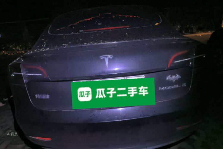 Tesla Model 3 2023 #6 Tesla Model 3 2023 car image #6