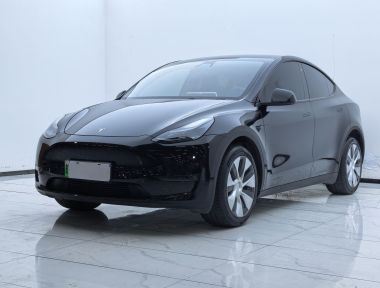 Tesla Model Y 2023 Tesla Model Y 2023 car image
