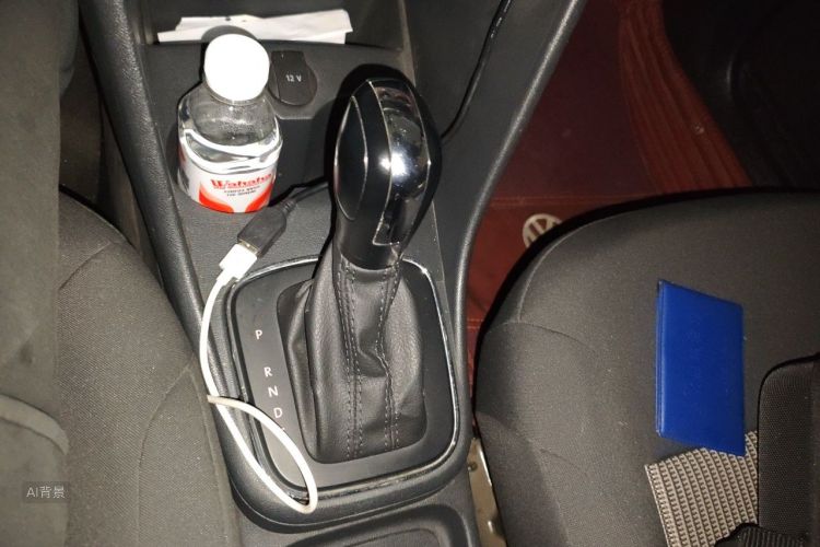 Volkswagen Polo 2016 car image #16