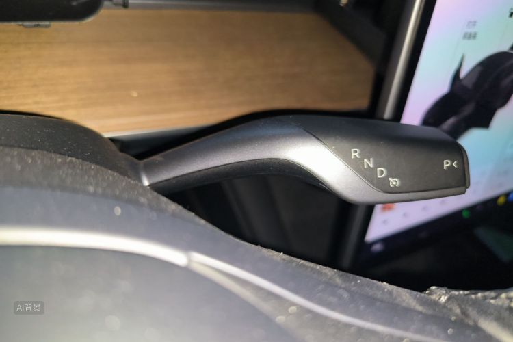 Tesla Model Y 2021 car image #16