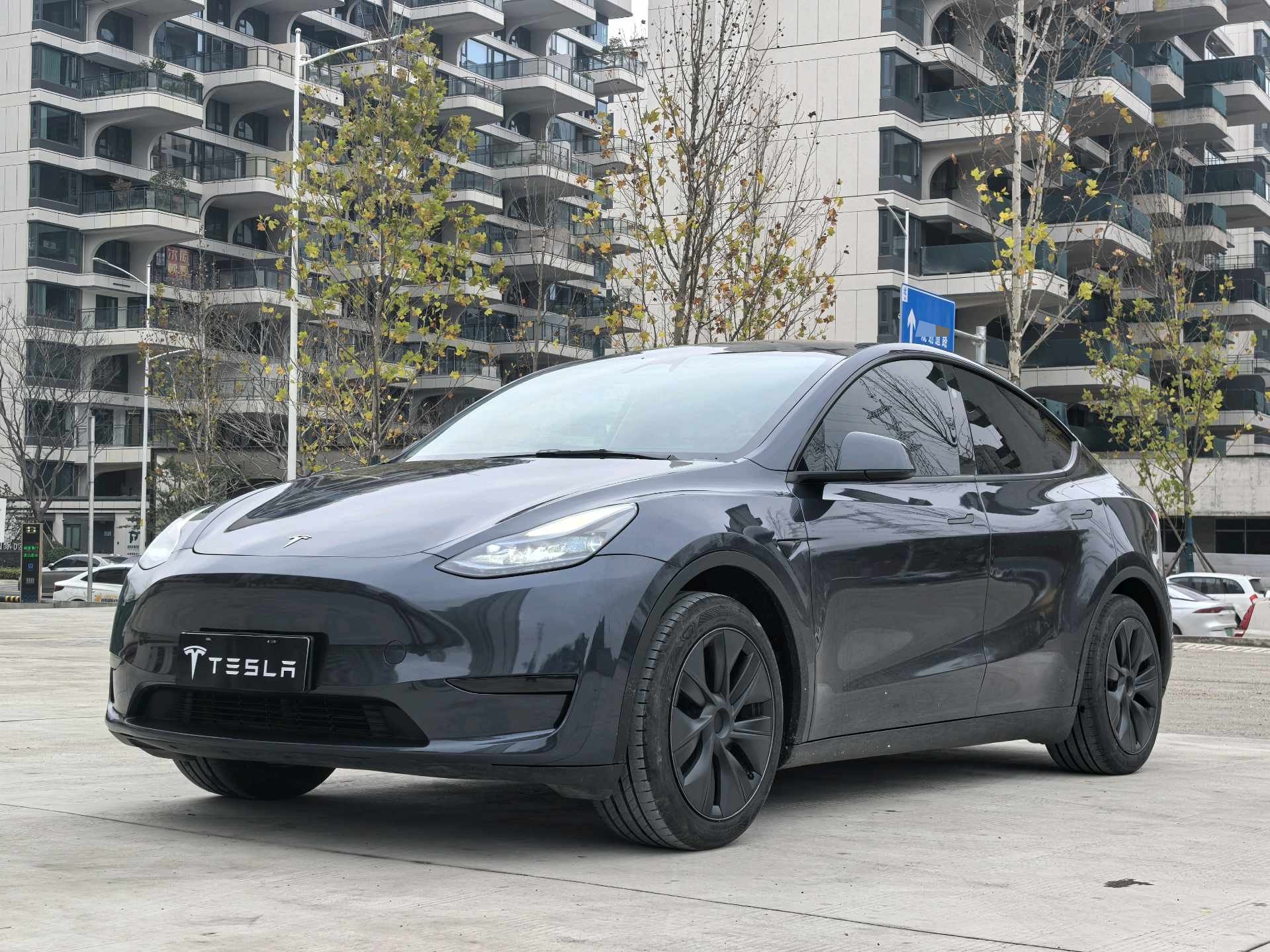 Tesla Model Y 2024 car image 