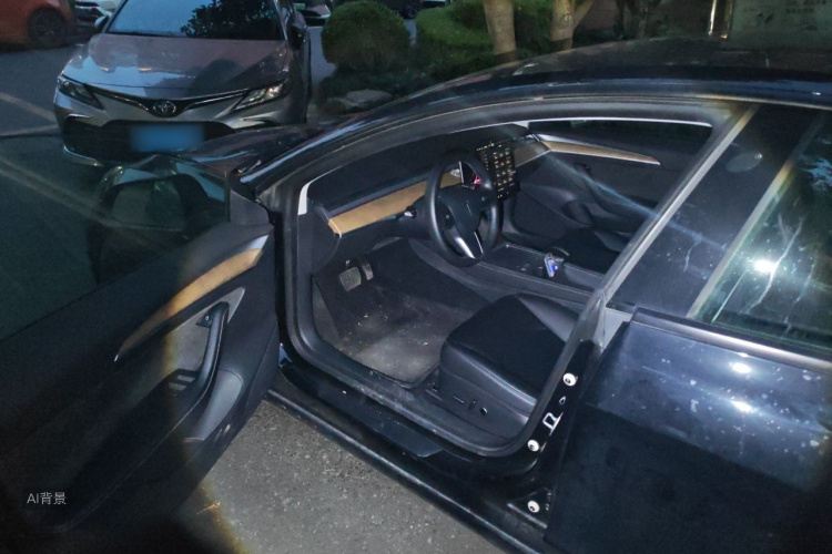 Tesla Model 3 2022 #17 Tesla Model 3 2022 immagine di auto #17