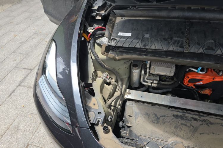 Tesla Model Y 2024 car image #22