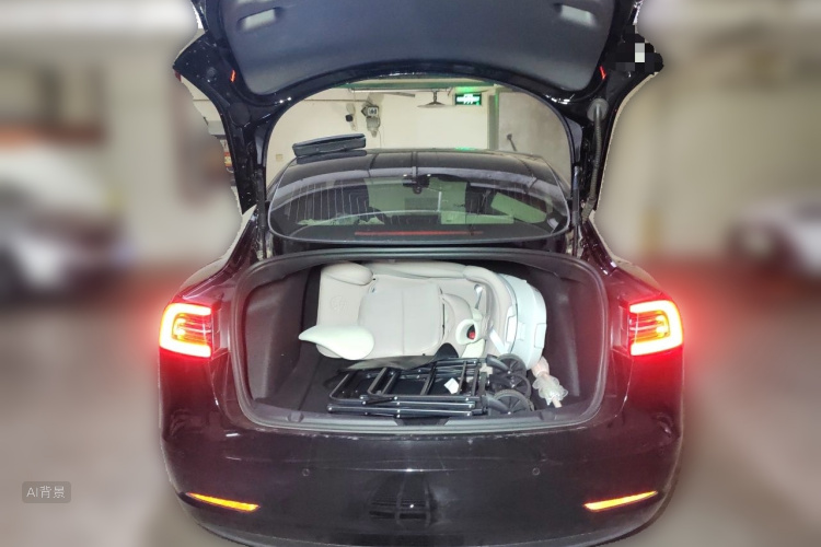 Tesla Model 3 2020 car image #21