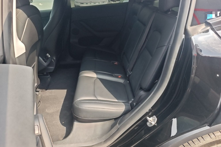 Tesla Model Y 2021 car image #13