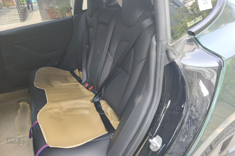 Tesla Model 3 2022 immagine di auto #19