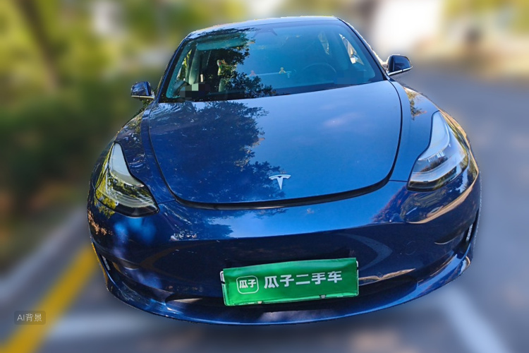 Tesla Model 3 2020 #3 Tesla Model 3 2020 car image #3