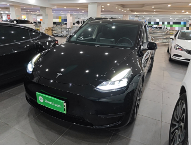 Tesla Model Y 2023 Tesla Model Y 2023 car image