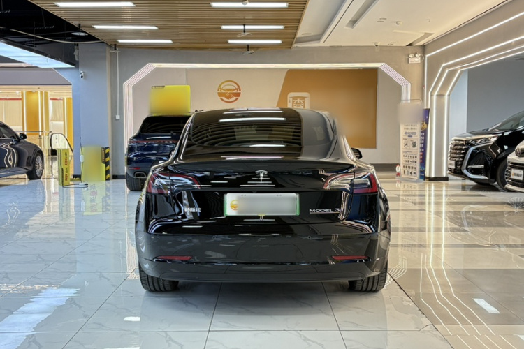Tesla Model 3 2022 #7 Tesla Model 3 2022 car image #7