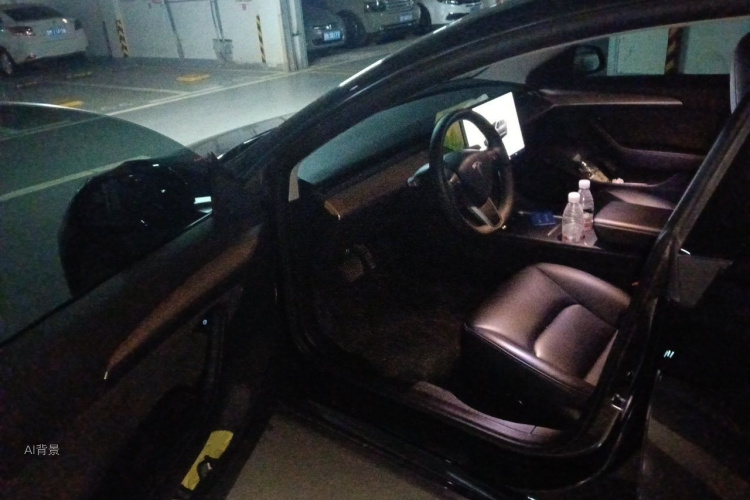 Tesla Model 3 2023 car image #18