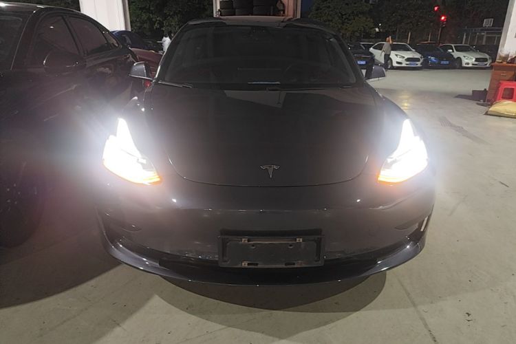 Tesla Model 3 2020 immagine di auto #3