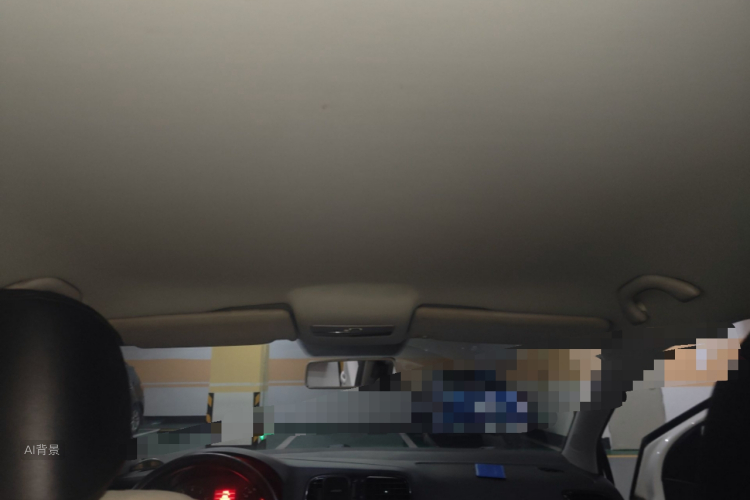 Volkswagen Polo 2012 car image #20