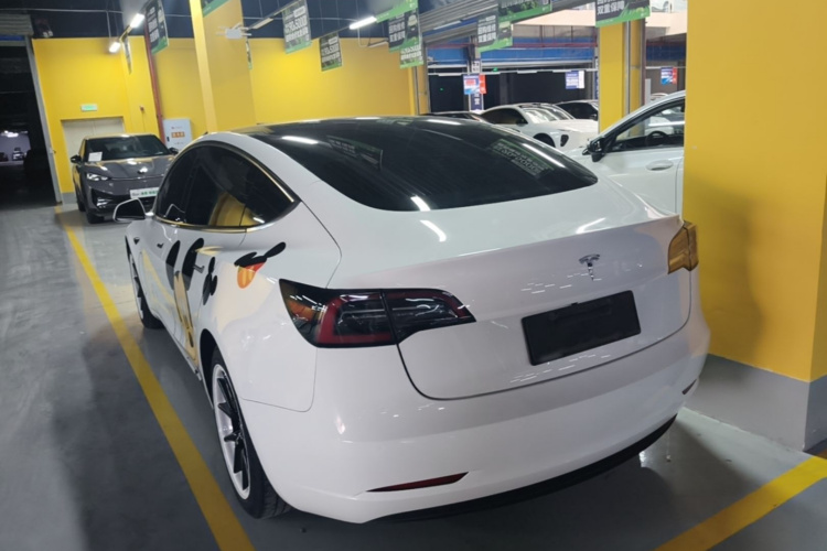 Tesla Model 3 2020 #5 Tesla Model 3 2020 car image #5