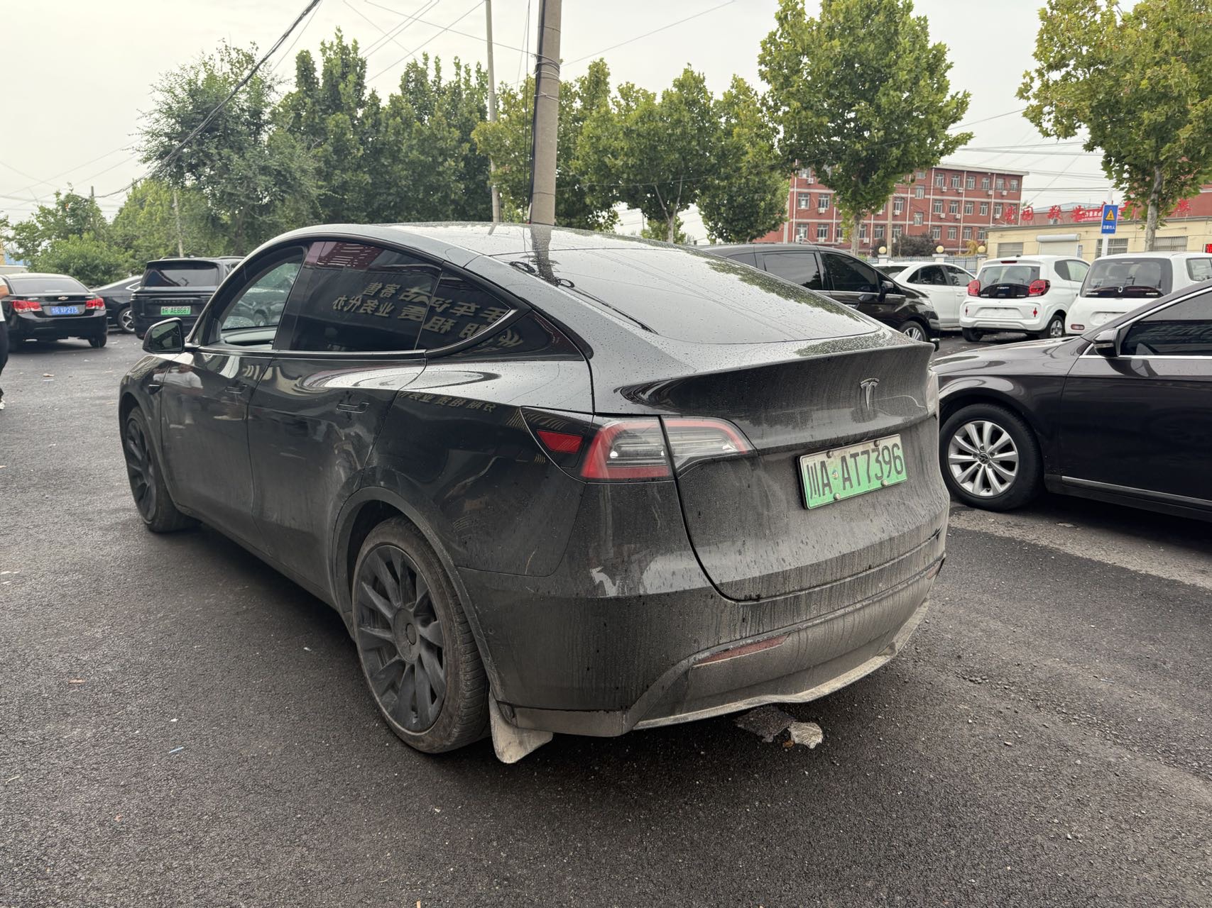 Tesla Model Y 2023 #6 Tesla Model Y 2023 car image #6
