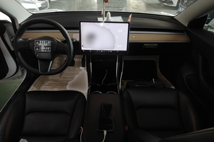 Tesla Model 3 2020 car image #11