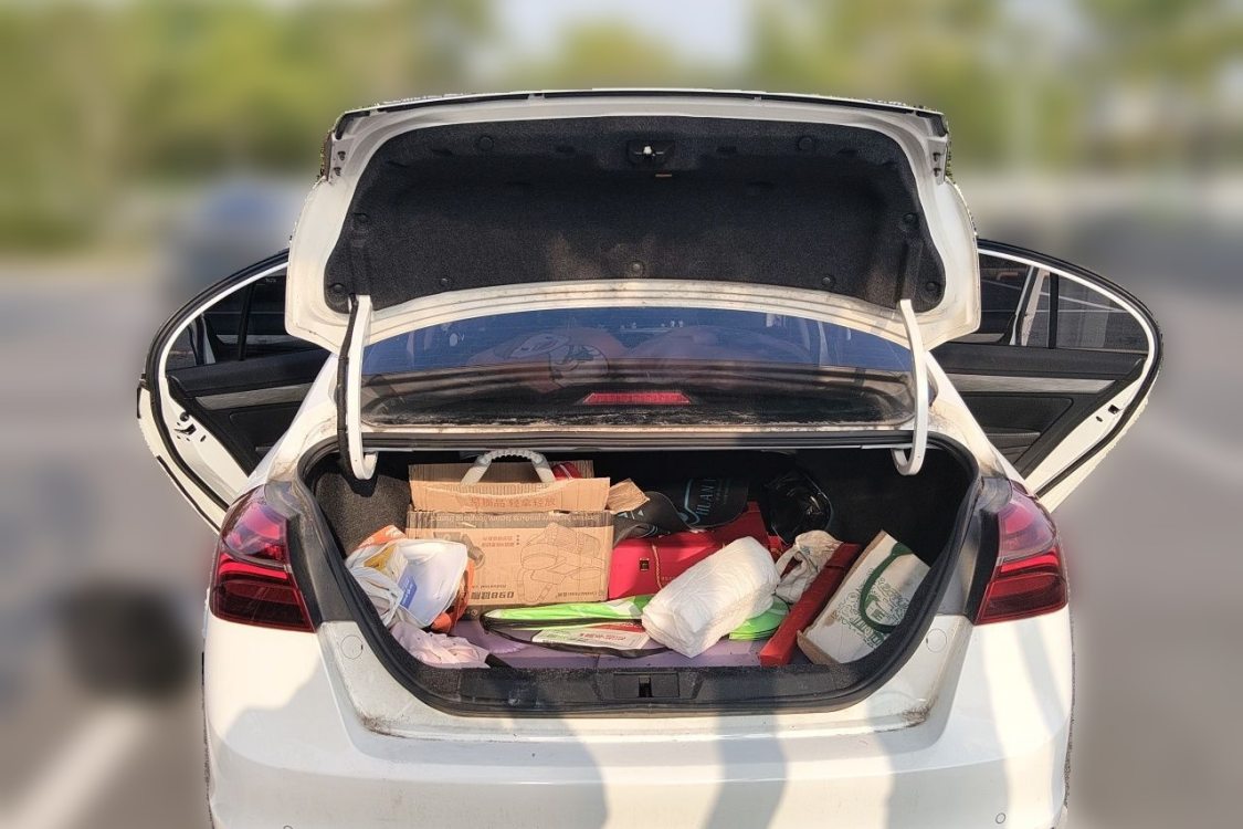 GEELY Emgrand 2019 car image #8