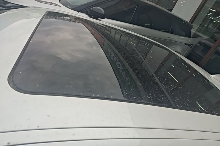 BMW 3 Series 2021 car image #25