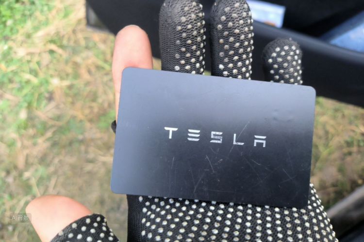 Tesla Model Y 2023 #10 Tesla Model Y 2023 car image #10