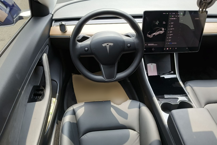 Tesla Model 3 2020 car image #15