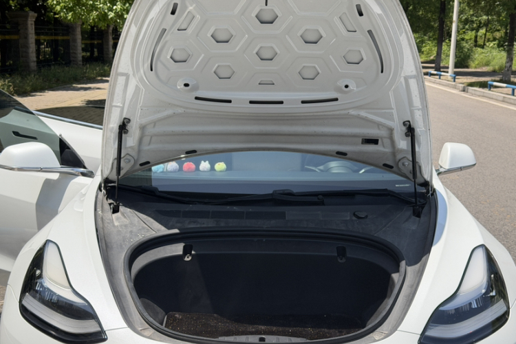 Tesla Model 3 2020 car image #24