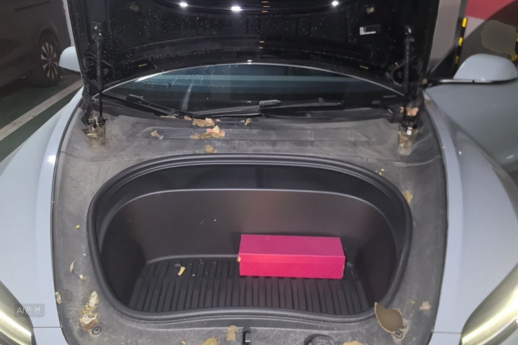 Tesla Model 3 2023 #22 Tesla Model 3 2023 car image #22