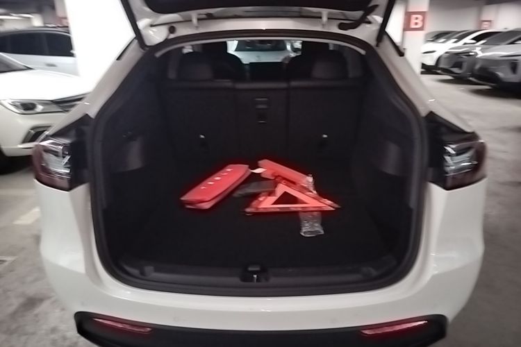 Tesla Model Y 2021 #19 Tesla Model Y 2021 car image #19