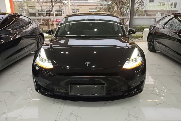 Tesla Model 3 2021 #3 Tesla Model 3 2021 imagen de coche #3