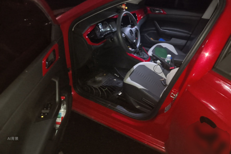 Volkswagen Polo 2020 car image #18