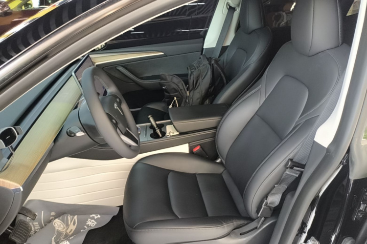 Tesla Model Y 2023 car image #15