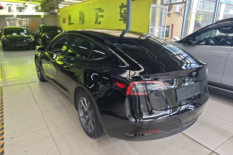 Tesla Model 3 2021 #5 Tesla Model 3 2021 car image #5