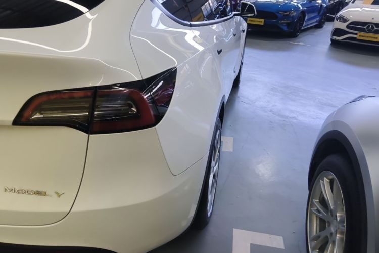Tesla Model Y 2023 #8 Tesla Model Y 2023 car image #8