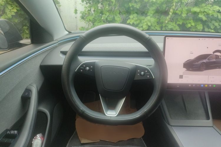 Tesla Model 3 2025 car image #12