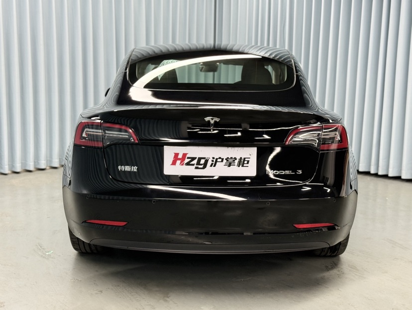 Tesla Model 3 2022 car image #7