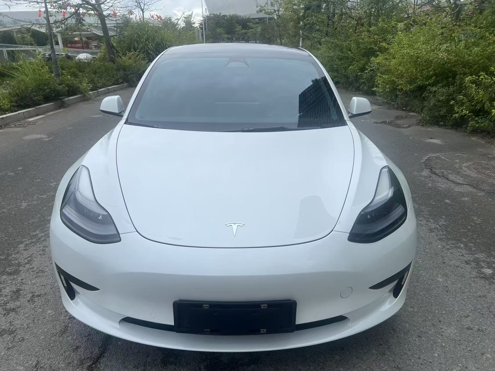 Tesla Model 3 2022 car image 