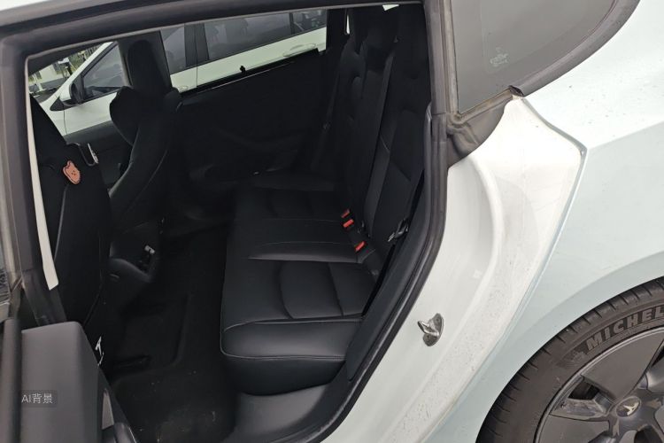 Tesla Model 3 2021 #19 Tesla Model 3 2021 car image #19