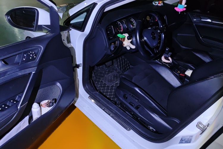 Volkswagen Golf 2018 car image #13