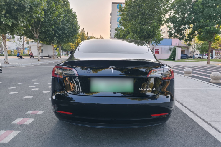 Tesla Model 3 2021 car image #10