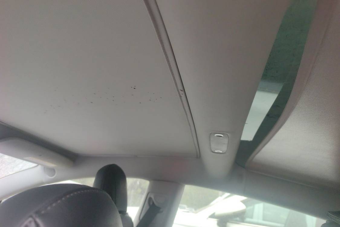 Tesla Model 3 2021 car image #20