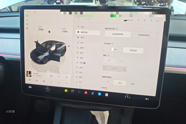 Tesla Model Y 2024 car image #13