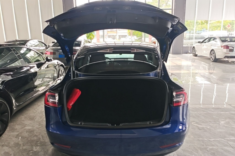 Tesla Model 3 2021 #19 Tesla Model 3 2021 car image #19