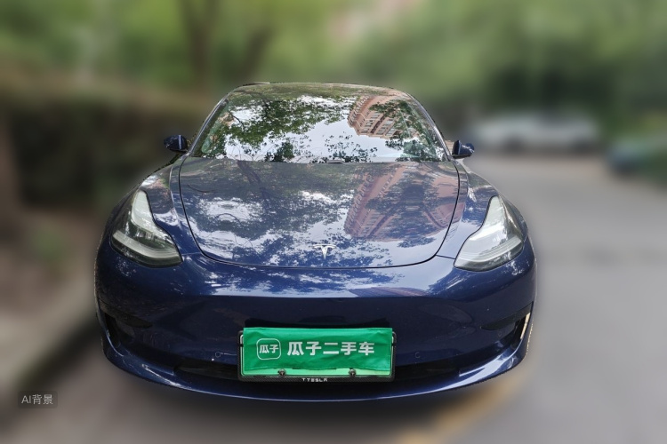 Tesla Model 3 2020 car image #3