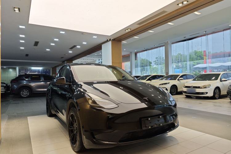 Tesla Model Y 2023 #9 Tesla Model Y 2023 car image #9